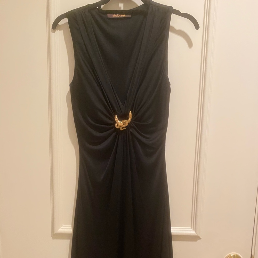 Roberto Cavalier Dress